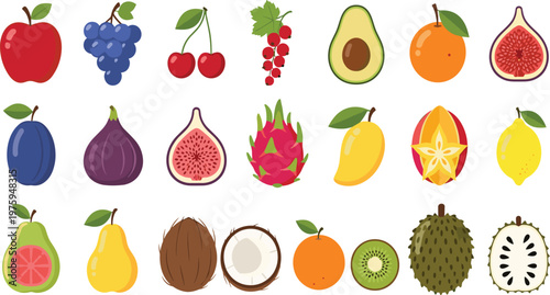 Exotic and Tropical Fruits Vector Illustration Set Featuring Fig, Dragon Fruit, Starfruit, Coconut, Kiwi, Avocado and Fresh Organic Food Collection Design.