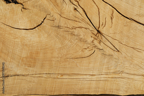 Tableau sur toile Natural wood texture close up with visible grain and cracks, aged natural wood p