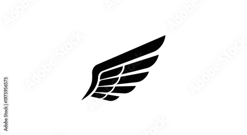 Black Angel Wing Silhouette on White Background