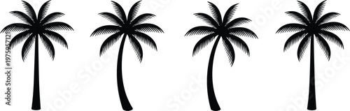 Palm tree silhouette set, tropical coconut trees black vector collection isolated on white background, summer beach nature illustration design