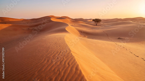 Desert landscape with sand dunes and a lone tree under a warm sunset sky ideal for travel and environment concepts