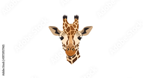 Cute Giraffe Face Portrait, African Wildlife Animal, Graphic Illustration