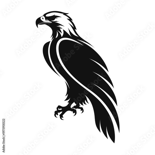 Black eagle silhouette, bird of prey icon, wildlife symbol, vector illustration