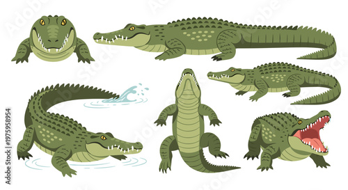 A set of green crocodile illustrations in various poses and expressions on a white background