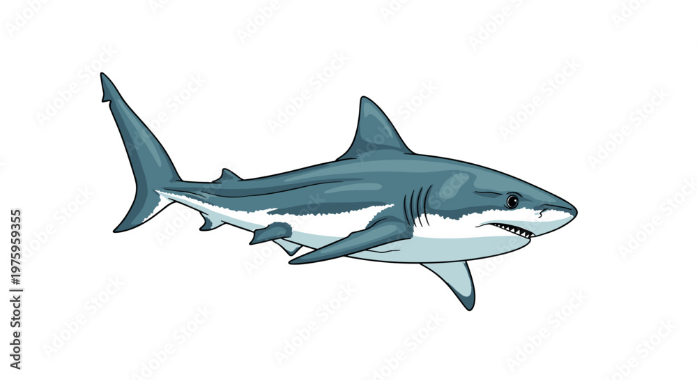 Fototapeta premium A vector graphic illustration of a shark swimming in water with a minimalist design