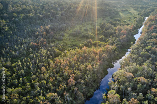 Aerial view of the tropical rainforest and winding river in Tanjung Puting National Park on Borneo, home to endangered wildlife and wild orangutans.
