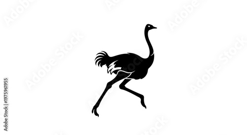 Ostrich Silhouette Running on White Background