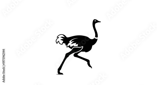 Silhouette of an ostrich running on a white background