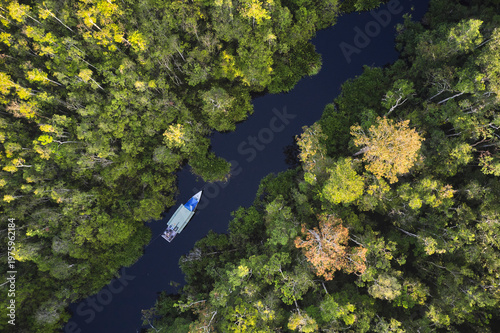 Aerial view of the tropical rainforest and winding river in Tanjung Puting National Park on Borneo, home to endangered wildlife and wild orangutans.