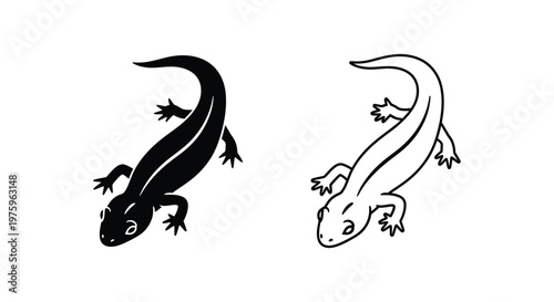 Salamander Amphibian Illustration Design Vector