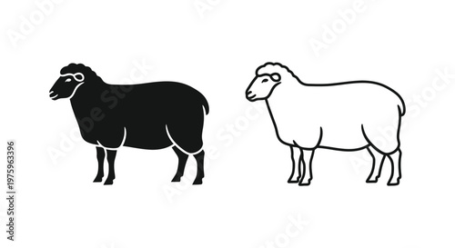 Black and White Sheep Breeds Comparison Guide Vector