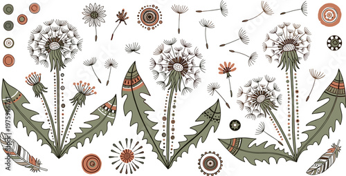 Boho Dandelion Floral Elements Set Seeds Leaves Feathers Decorative Botanical Collection Vector Illustration Design