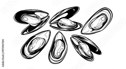 Collection of stylized mussels in a scattered arrangement, black and white illustration