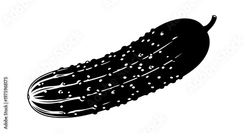 Black and white illustration of a fresh cucumber with visible bumps and stripes