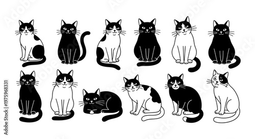 Adorable Monochrome Feline Characters Displaying Various Moods and Poses in a Collection