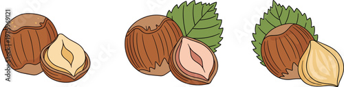 Hazelnut Illustration Icon Set with Whole and Cracked Nuts and Leaves for Organic Food Snack Ingredient and Botanical Design Collection