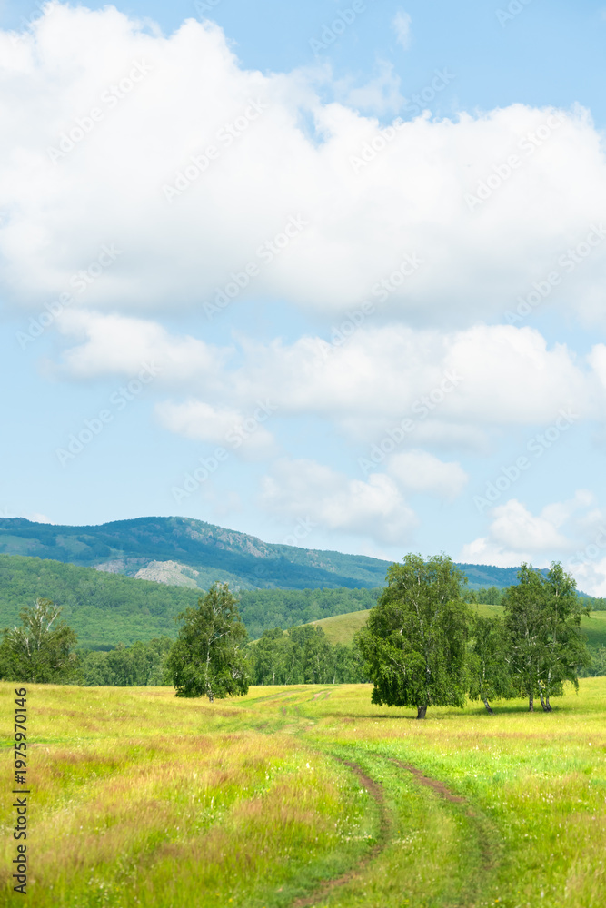 Obraz premium Green trees and grass in a forest meadow at sunny day. Country road in the field. Mountains and the blue sky with clouds in the background.