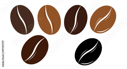 Set of seven coffee beans with different shades of brown and black