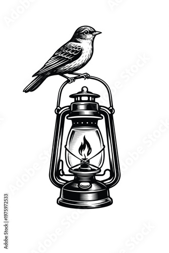 An antique vintage kerosene oil lantern with a glass chimney and metal frame stands isolated as a decorative lighting object against a clean white background