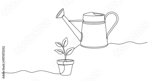 Watering can and small potted plant.