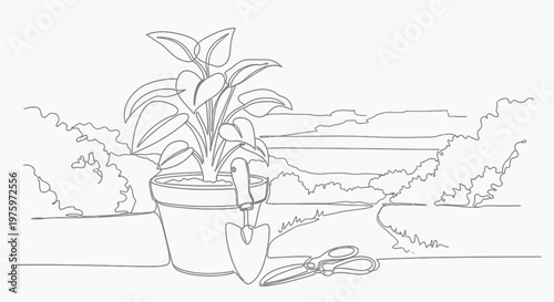 Potted plant with green leaves indoors.