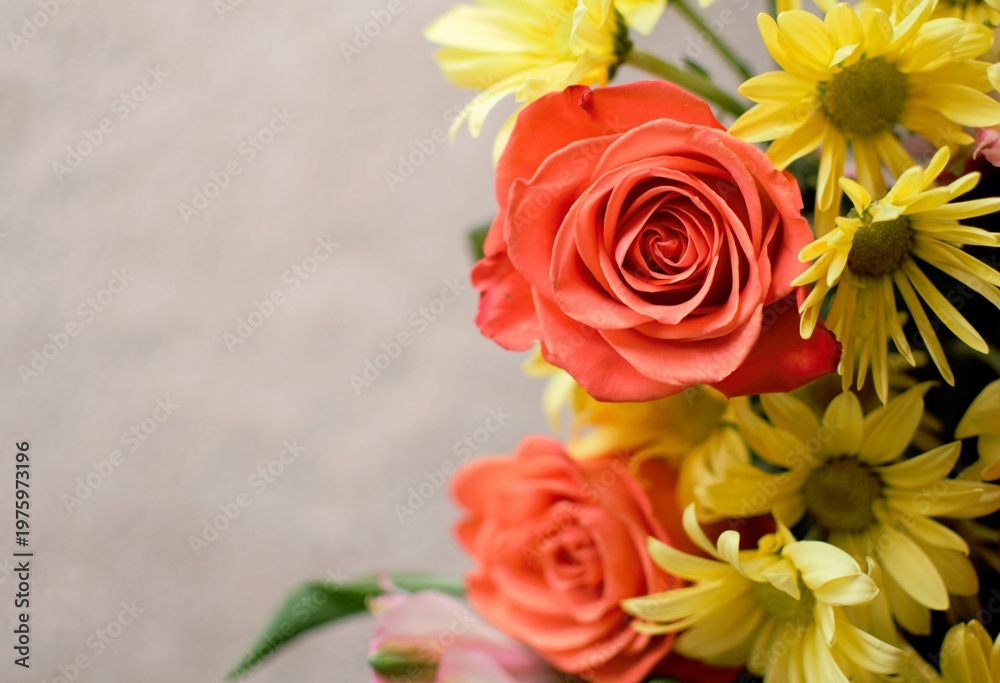Naklejka premium Vibrant close up of orange roses and yellow daisies bouquet with soft bokeh background for romantic greeting cards and floral advertising.
