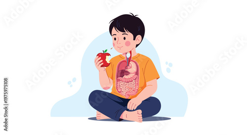 Educational illustration of a young boy eating a red apple with a translucent view of the human internal organs and digestive system.