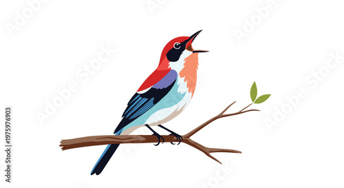 Colorful wild bird with red and blue feathers perched on a thin tree branch singing with its beak wide open in the morning.
