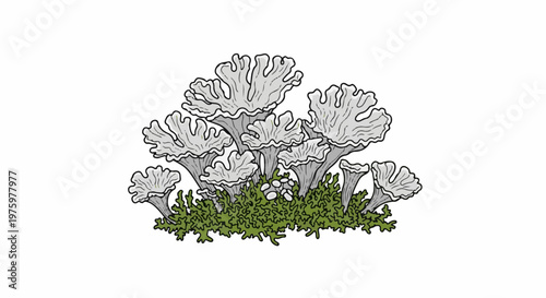 Illustration of pale grey, ruffled, trumpet-like fungal growths with a green mossy base