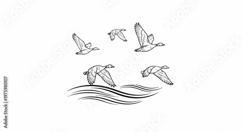 Five ducks in flight above wavy water lines, drawn in a sketchy style