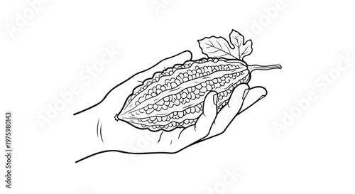 Hand holding a detailed bitter gourd with two leaves