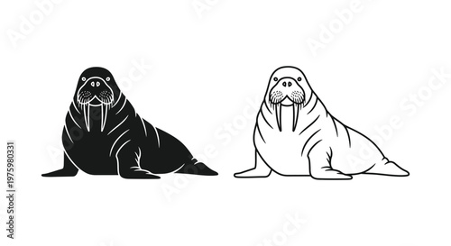 Walrus Illustration Arctic Marine Mammal Design Vector