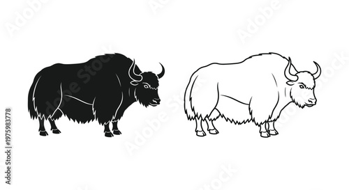 Yak vs Yak Unique Bovines Compared Vector