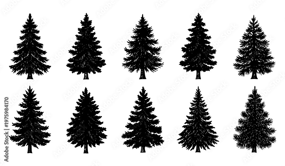 Obraz premium Engraved pine and fir tree collection brown silhouette forest vector isolated on white background