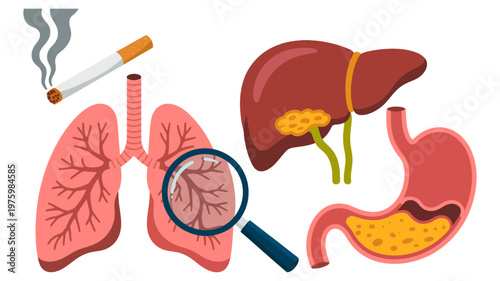 A conceptual illustration showing the detrimental impact of smoking on vital internal organs, with a magnifying glass examining the lungs.
