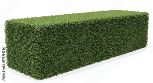 Green boxwood hedge vector illustration, rectangular garden shrubbery for landscape design, manicured evergreen bush wall, decorative topiary plant for outdoor architectural planning isolated
