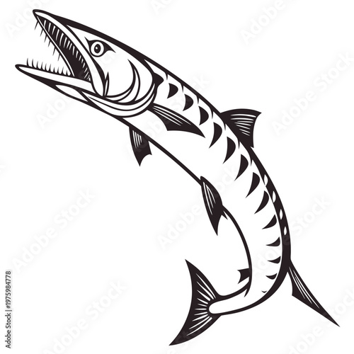 Barracuda fish, predator illustration, black and white vector, aquatic animal, wildlife graphic
