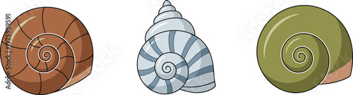 Colorful Spiral Seashells Icon Set for Coastal Decor, Marine Life Illustrations, and Beach-Themed Designs