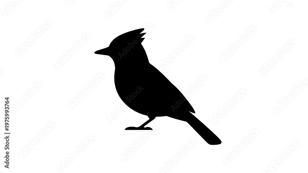 Obraz premium black silhouette of a blue jay bird isolated on transparent background