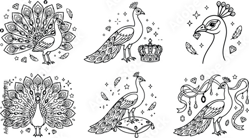Intricate line art peacock illustrations set six panels close up head profile and full tail fan poses with decorative jewels feathers and cushion in black outline