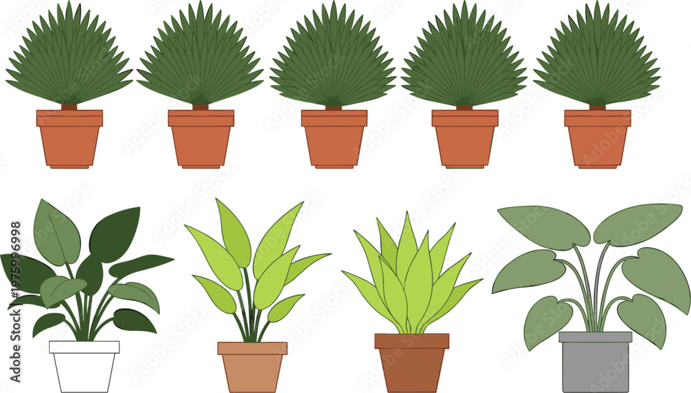 Fototapeta premium Set of indoor potted plants flat vector collection of decorative houseplants for home interior design and gardening illustration