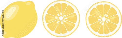 Set of lemon fruit with slices flat vector collection of fresh citrus food elements for healthy nutrition and summer design illustration