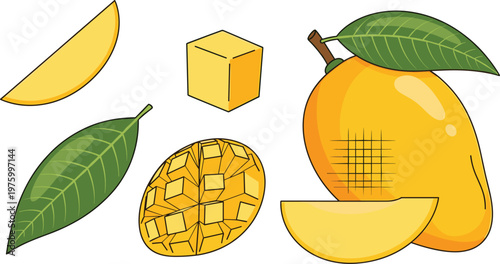 Set of mango fruit with slices cube and leaf flat vector collection of fresh tropical food elements for summer design illustration