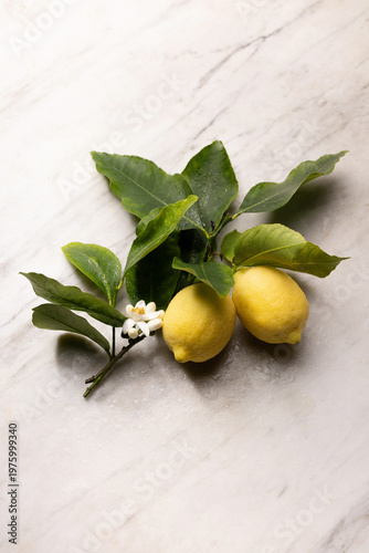 Lemon branch with leaves, ripe fruits, and orange blossom on a marble background, combining citrus freshness with elegant natural and culinary aesthetics.