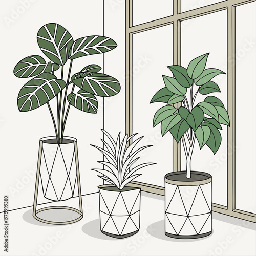 A minimalist vector illustration of three potted plants in a modern room with a large window