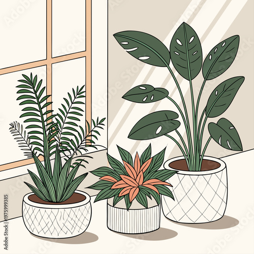 A vector illustration of three potted plants on a windowsill with a beige background