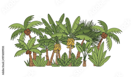 Cartoon tropical palm trees vector set coconut banana island rainforest jungle plants resort nature