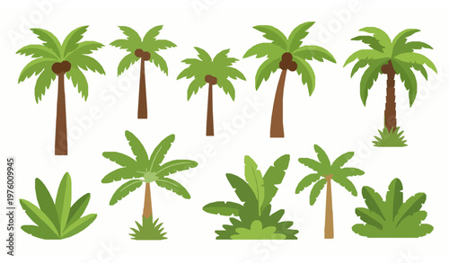 Tropical cartoon palm and banana tree vector set jungle rainforest island vacation resort illustration