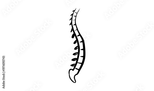 Backbone sketch poster