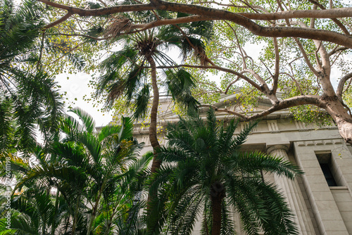 Taipei 228 Peace Park with palm trees in Taiwan